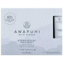 Awapuhi Wild Ginger Hydratriplex Treatment - Intenzívna regeneračná kúra na hydratáciu a spevnenie vlasov
