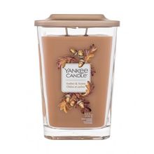 Elevation Amber & Acorn Candle ( ambra a žaludy ) - Vonná svíčka