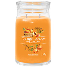 Farm Fresh Peach Signature Candle ( farmárska čerstvá broskyňa ) - Vonná sviečka
