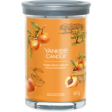 Farm Fresh Peach Signature Tumbler Candle ( farmárska čerstvá broskyňa ) - Vonná sviečka
