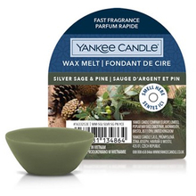 Silver Sage & Pine Wax Melt ( stříbrná šalvěj a borovice ) - Vonný vosk do aromalampy