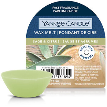 Sage & Citrus Wax Melt ( šalvěj a citrus ) - Vonný vosk do aromalampy
