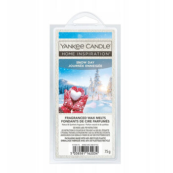 Snow Day Fragranced Wax Melts ( sněhový den ) - Vonný vosk