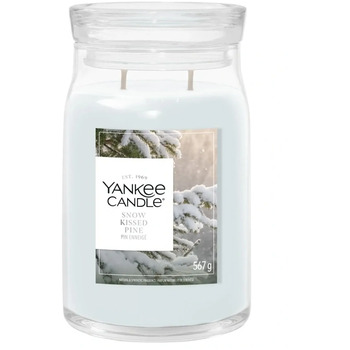 Snow Kissed Pine Signature Candle ( sněhová borovice ) - Vonná svíčka