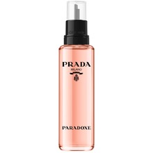 Paradox EDP náplň
