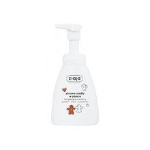 Gingerbread Winter Foam Soap - Tekuté mýdlo 