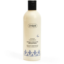 Intensive Shampoo - Šampon pro intenzivní obnovu vlasů