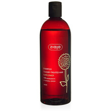 Sunflower Shampoo - Šampon pro barvené vlasy