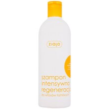 Intensive Regenerating Shampoo - Šampon pro intenzivní regeneraci křehkých a lámavých vlasů