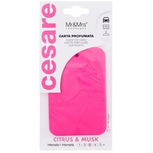 Cesare Scented Card Cistrus & Musk - Vôňa do auta
