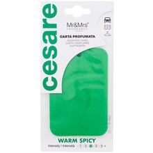 Cesare Scented Card Warm Spicy - Vôňa do auta
