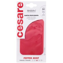 Cesare Scented Card Pepper Mint - Vôňa do auta
