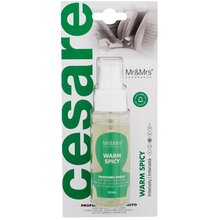 Cesare Car Spray Perfume Warm Spicy - Vôňa do auta
