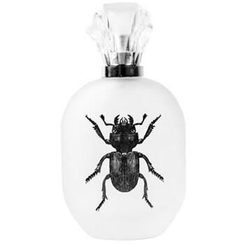 Alessandro Manfredini EDP 