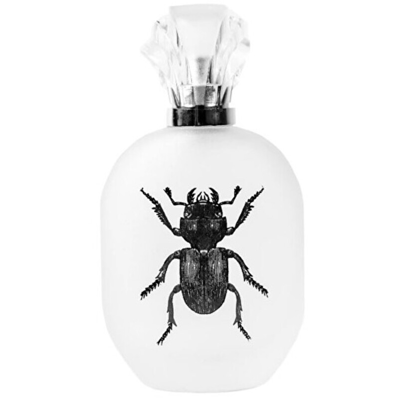 Alessandro Manfredini EDP 