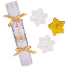 Winter Magic Frosted Vanilla Snowflakes & Stars Bath Fizzer - Darčeková sada
