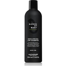 Blends of Many Rebalancing Low Shampoo - Šampon proti lupům