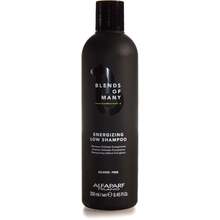 Blends of Many Energizing Low Shampoo ( vypadávání vlasů ) - Energizující šampon