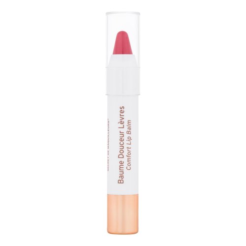 Artist Secret Comfort Lip Balm - Balzám na rty 2,5 g