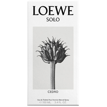 Solo Loewe Cedro EDT