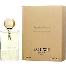 Tras La Tormenta Jardin Botanico EDP
