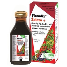 Floradix železo + vitamíny B2, B6, B12 a C 250 ml