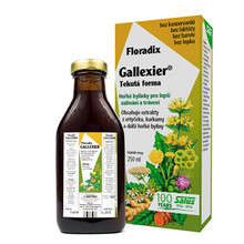 Floradix Gallexier 250 ml