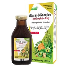 Floradix Vitamín B komplex 250 ml