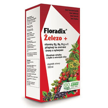 Floradix 500 ml