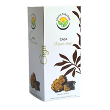 Čaga - Rezavec šikmý n. s. 20 x 1.5 g
