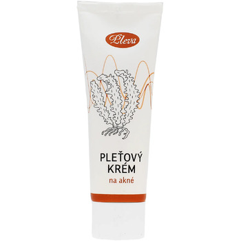 Cream for Acne-Prone Skin - Pleťový krém na akné