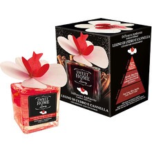 Cedarwood and Cinnamon Luxury Diffuser - Aróma difuzér
