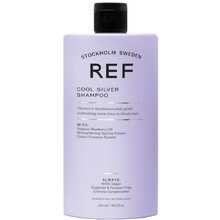 Cool Silver Shampoo - Neutralizujúci šampón pre platinovo blond a šedivé vlasy
