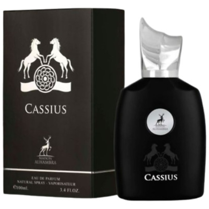Cassius EDP
