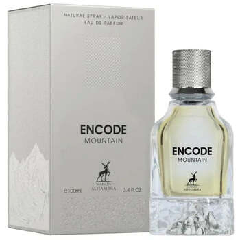 Encode Mountain EDP
