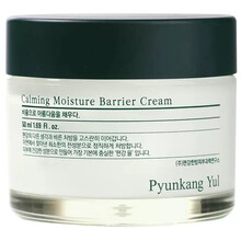 Calming Moisture Barrier Hydrating Cream - Hydratačný pleťový krém
