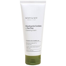 Houttuynia Cordata + Tea Tree Cleansing Foam - Čistiaca pena na problematickú pleť
