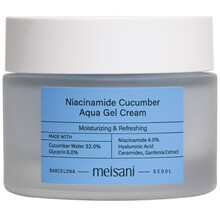 Niacinamide Cucumber Aqua Gel Cream - Hydratační gelový krém