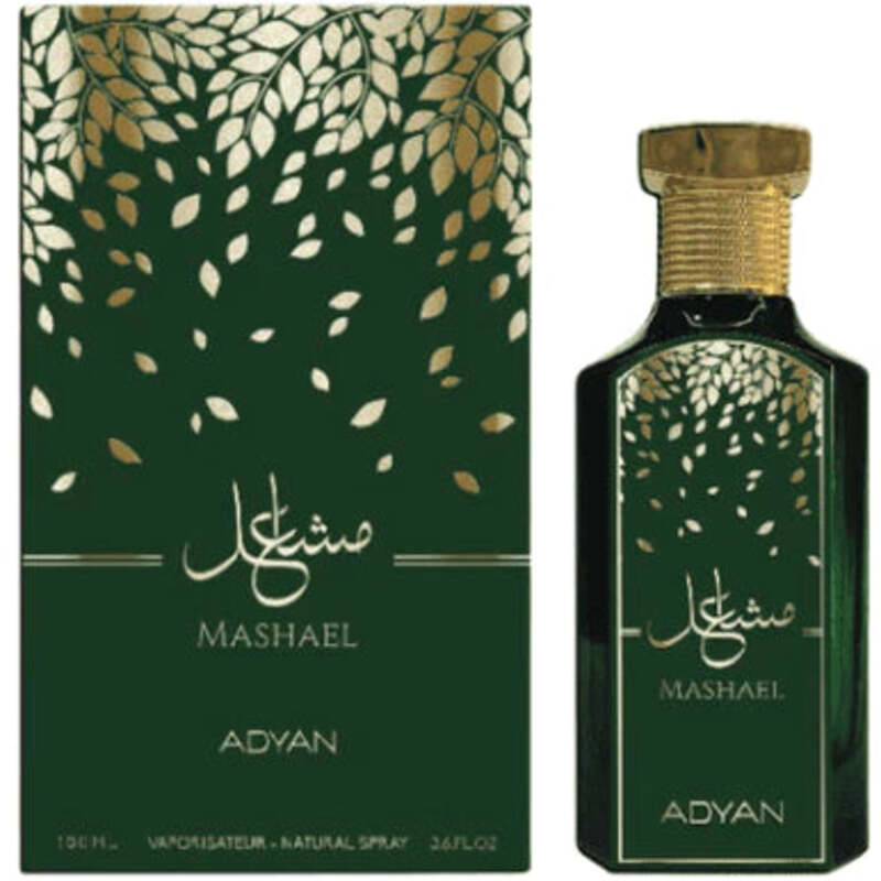 Mashael EDP
