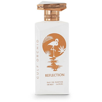 Reflection EDP

