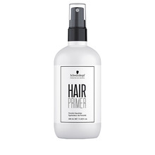 Starostlivosť pred farbením vlasov Hair Primer (Porosity Equalizer)