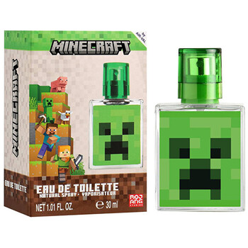 Minecraft EDT