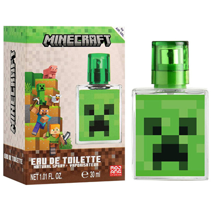 Minecraft EDT