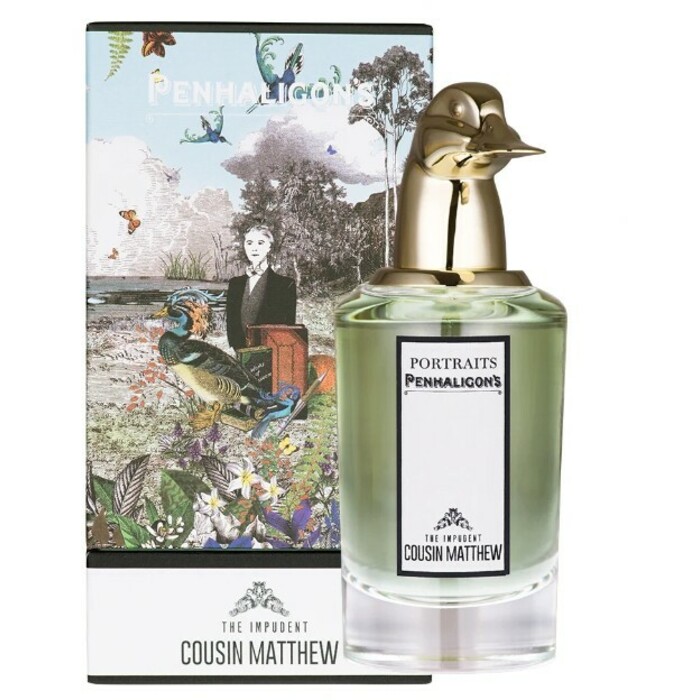 The Impudent Cousin Matthew EDP