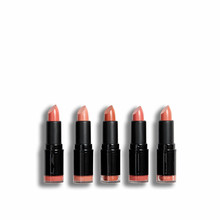 Revolution PRO Nudes Lipstick Collection ( 5 ks ) - Sada rúžov 3,2 g
