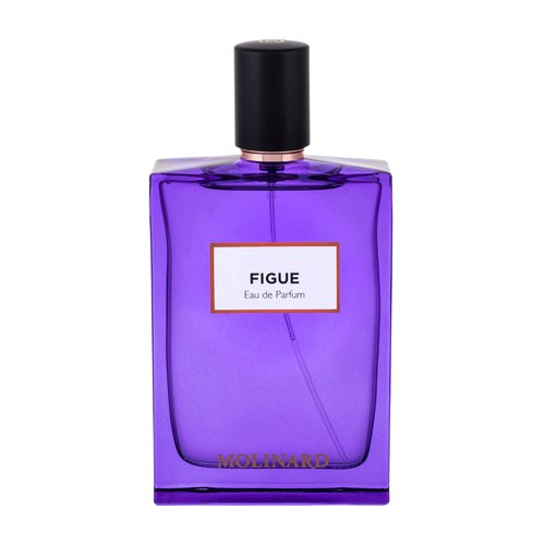 FIGUI EDP