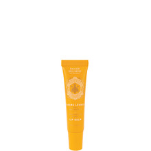 Balzam na pery Regenerating Honey (Lip Balm)