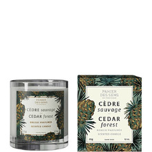 Home Cedar Forest Scented Candle - Vonná svíčka