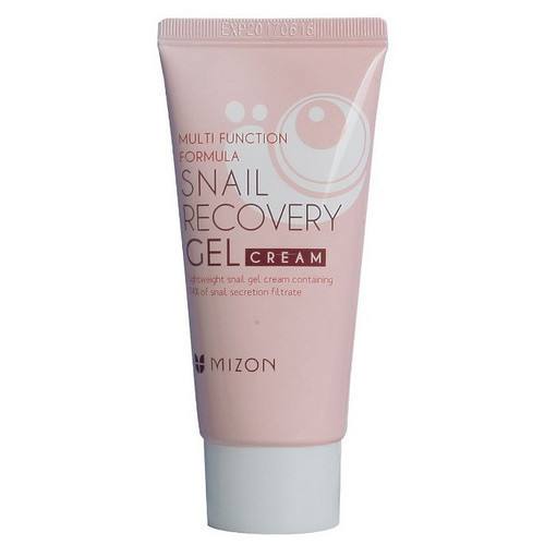 Snail Recovery Gel Cream ( problematická pleť ) - Pleťový gel s filtrátem hlemýždího sekretu 74% 