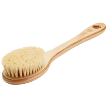 Cactus Long Handle Brush - Masážní tělový kartáč pro suchou pokožku